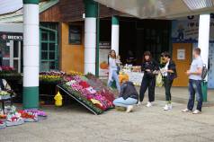 Mini IMG 2516